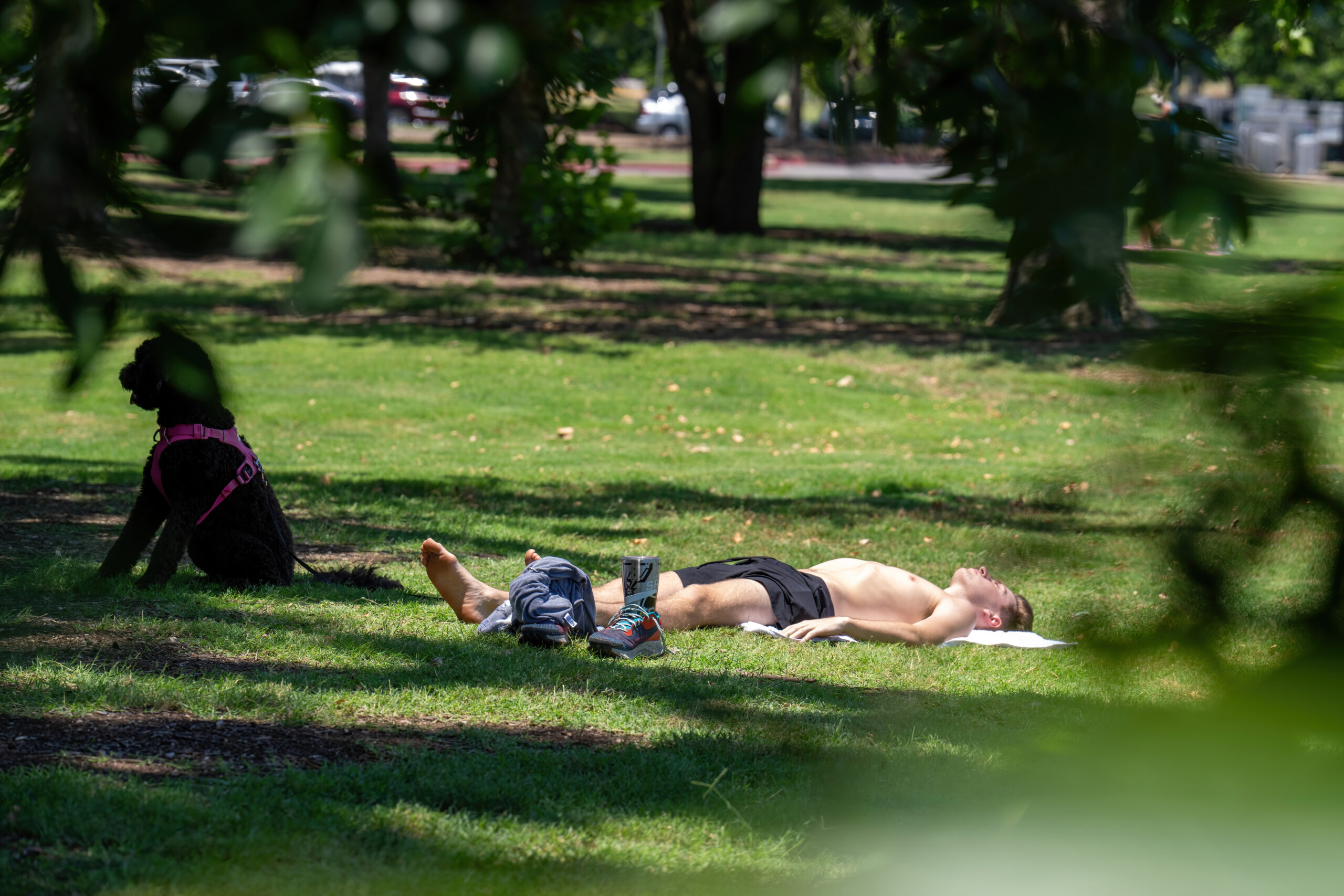 Al menos 13 personas mueren a causa de ola de calor intenso en EEUU