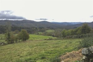 51dc8e2ee238bea1a4f7f1e27ac24a85fb32adf0miniw