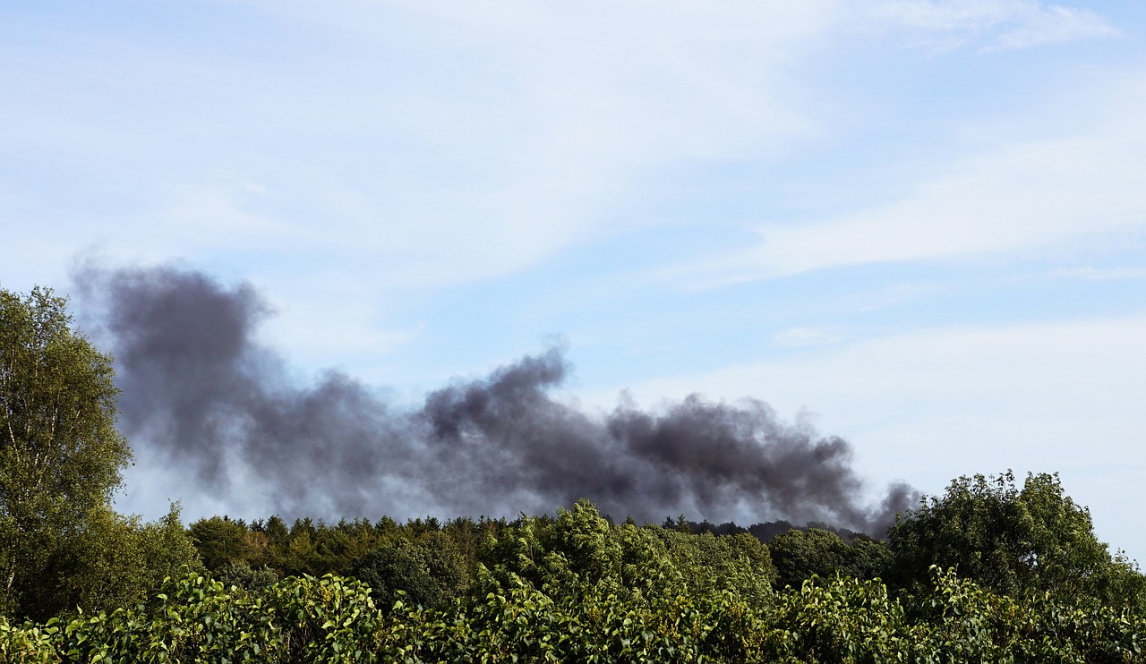 Alerta en Honduras por incendios forestales y sus efectos en la salud