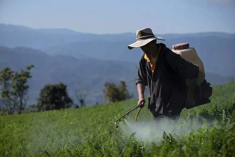 UE y Reino Unido exportan toneladas de pesticida prohibido a otros países