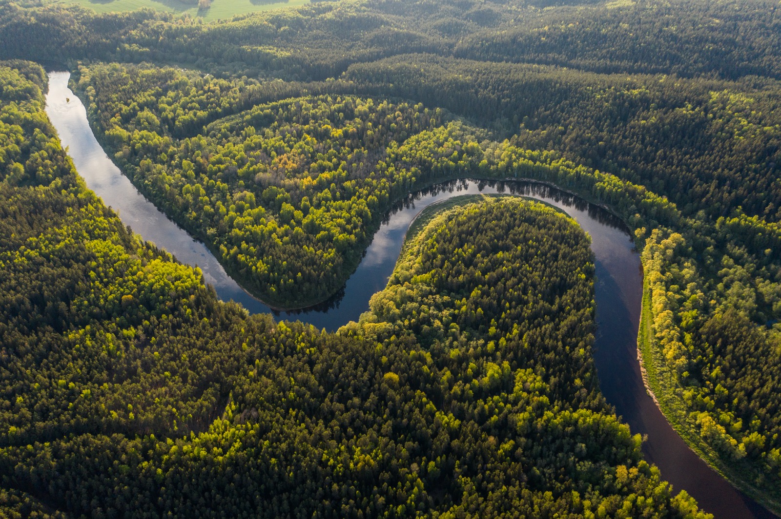 Expedición buscará probar que el río Amazonas es más largo que el Nilo