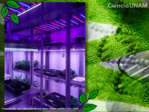 ar_navega_laboratorios_plantecc_01_21082019