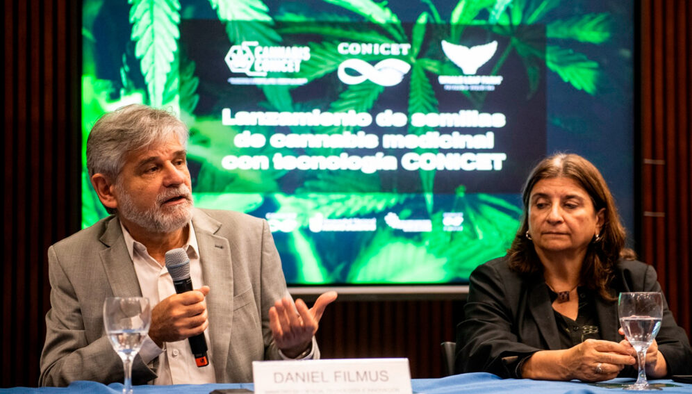 Argentina crea variedades de semillas de cannabis y avanza en tratamientos