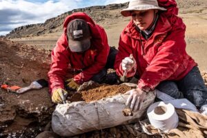 d2c4f7f74bad8e9244a93cec1c63a7191a138ae3miniw