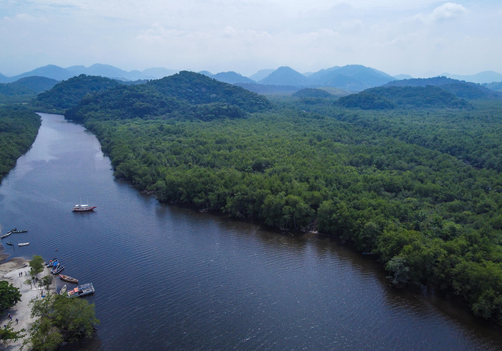 El 43 % de los bosques tropicales que desaparecieron en el planeta en 2022 eran de Brasil