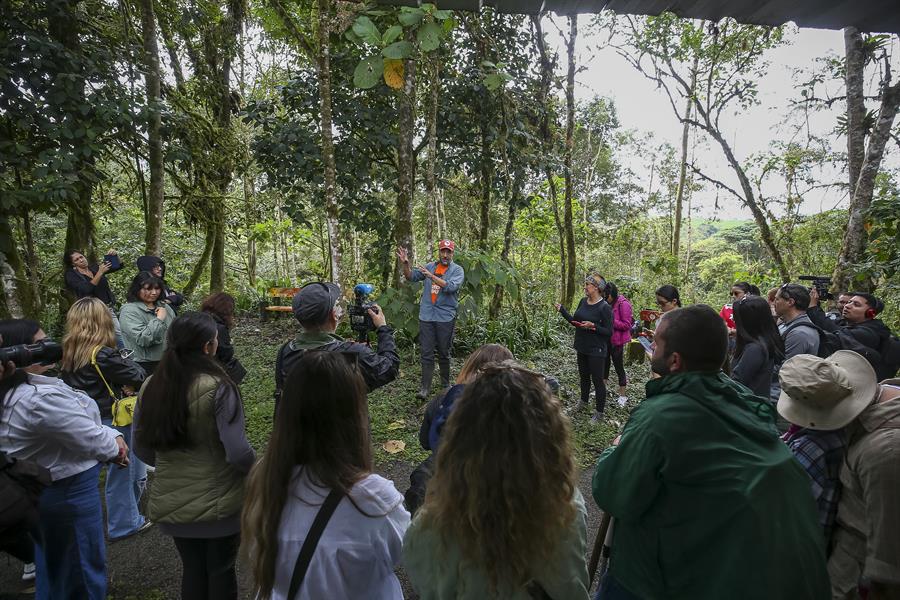 El Chocó Andino tendrá su plebiscito para desterrar a la minería