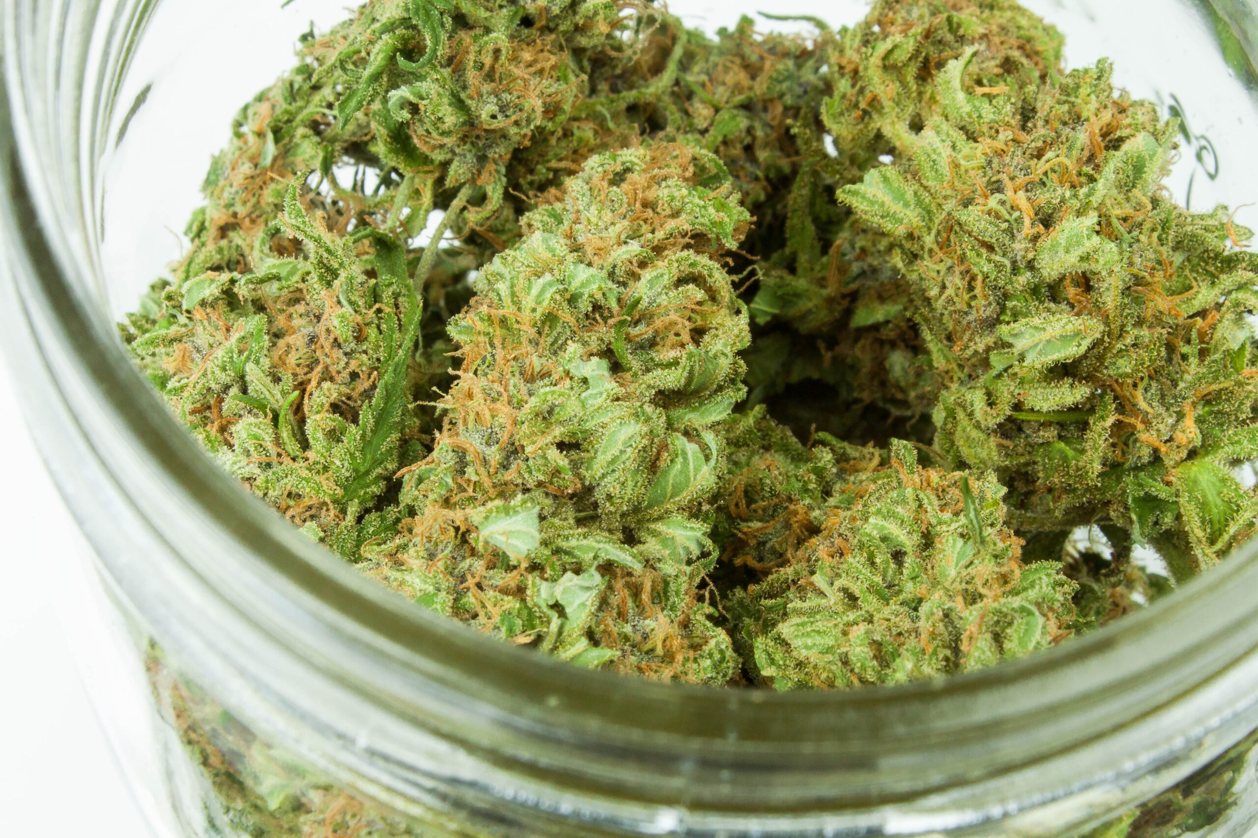 Cannabis medicinal: un recurso para tratar distintas enfermedades