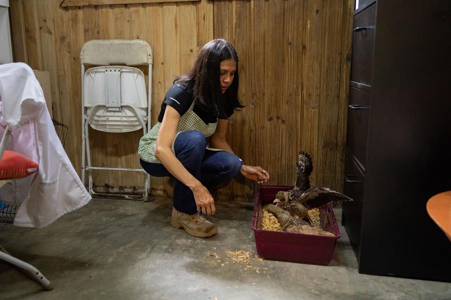 Chile inaugura centro de educación ambiental en refugio de animales silvestres