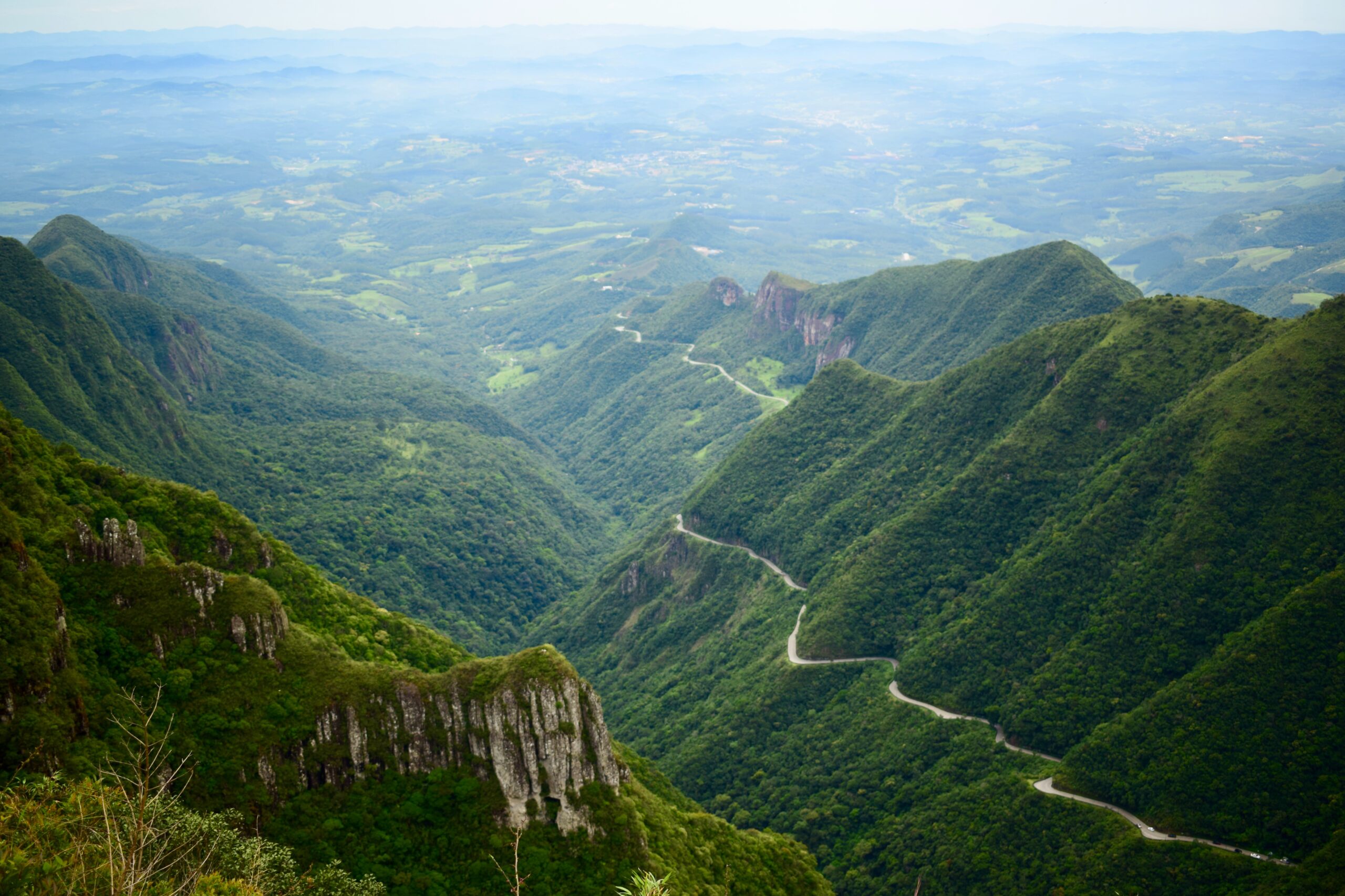 Brasil perdió un área del tamaño de Lituania por la deforestación