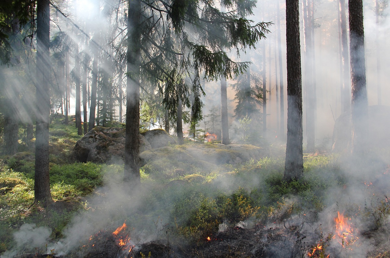 Mecanismo guardián: una tecnología contra incendios en España