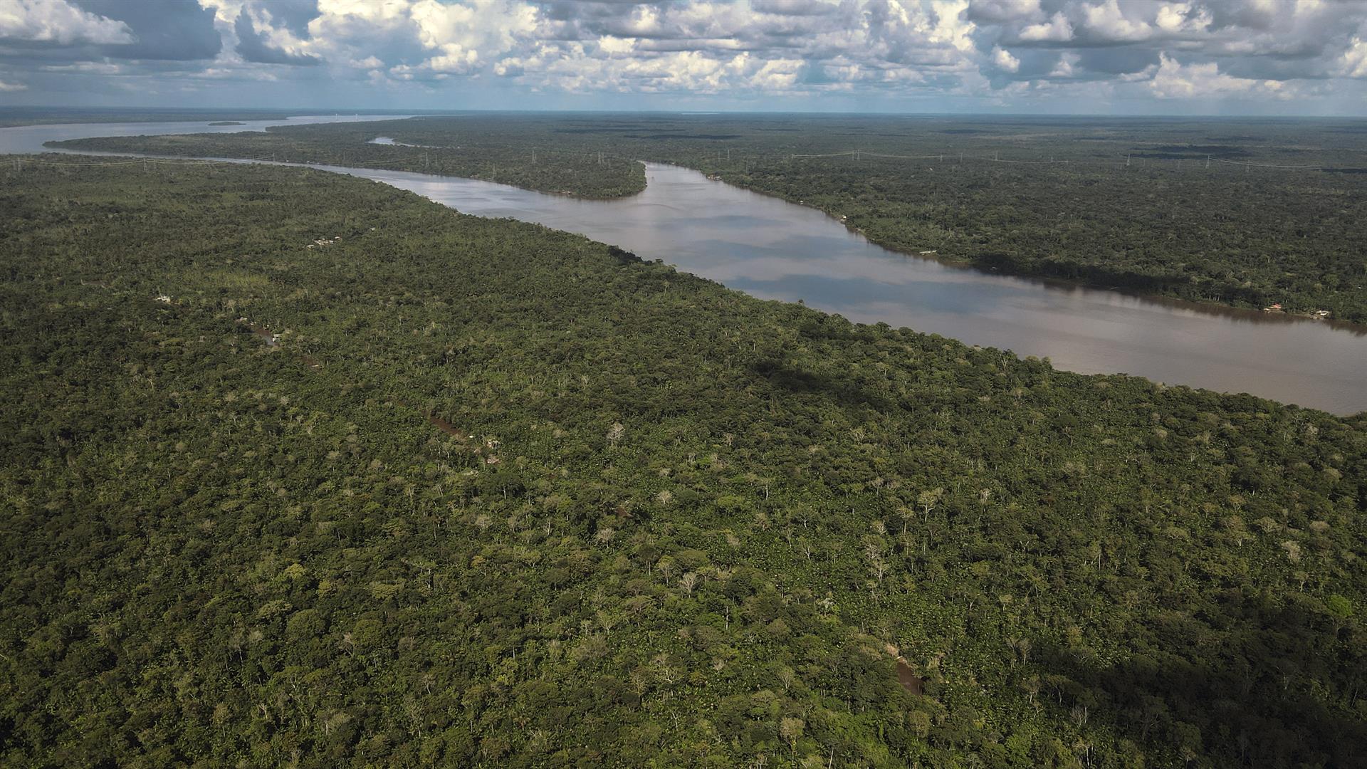 Científicos simulan el cambio climático en la Amazonía para estudiarlo