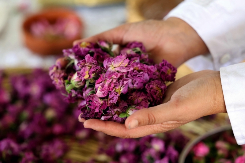 Agua de rosas, el tesoro libanés que enfrenta tiempos difíciles