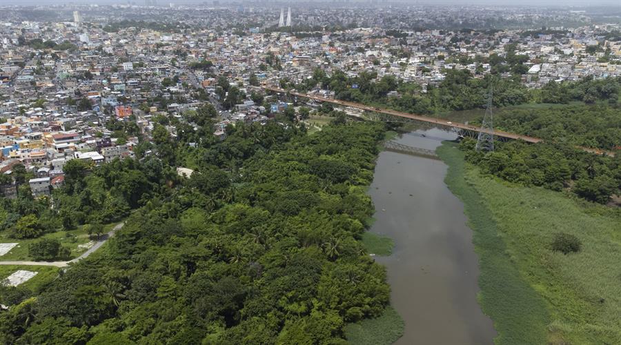 Proteger los manglares, la mejor defensa natural contra los efectos del cambio climático