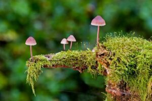 WhatsApp Image 2023-07-24 at 17.49.37