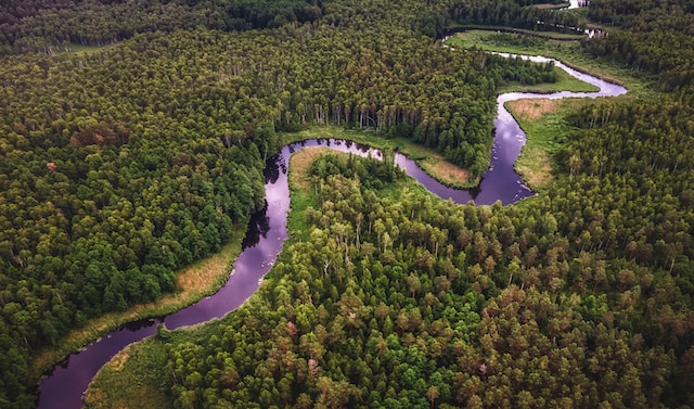 La NASA ofrece satélites para ayudar a Brasil a vigilar la Amazonia