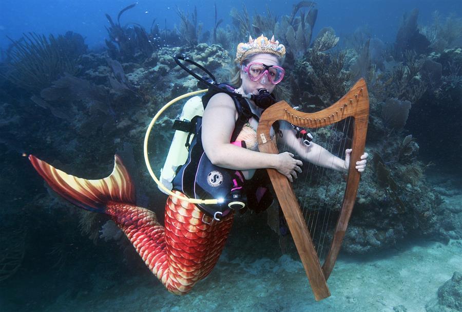 Un concierto submarino promueve el cuidado de los arrecifes