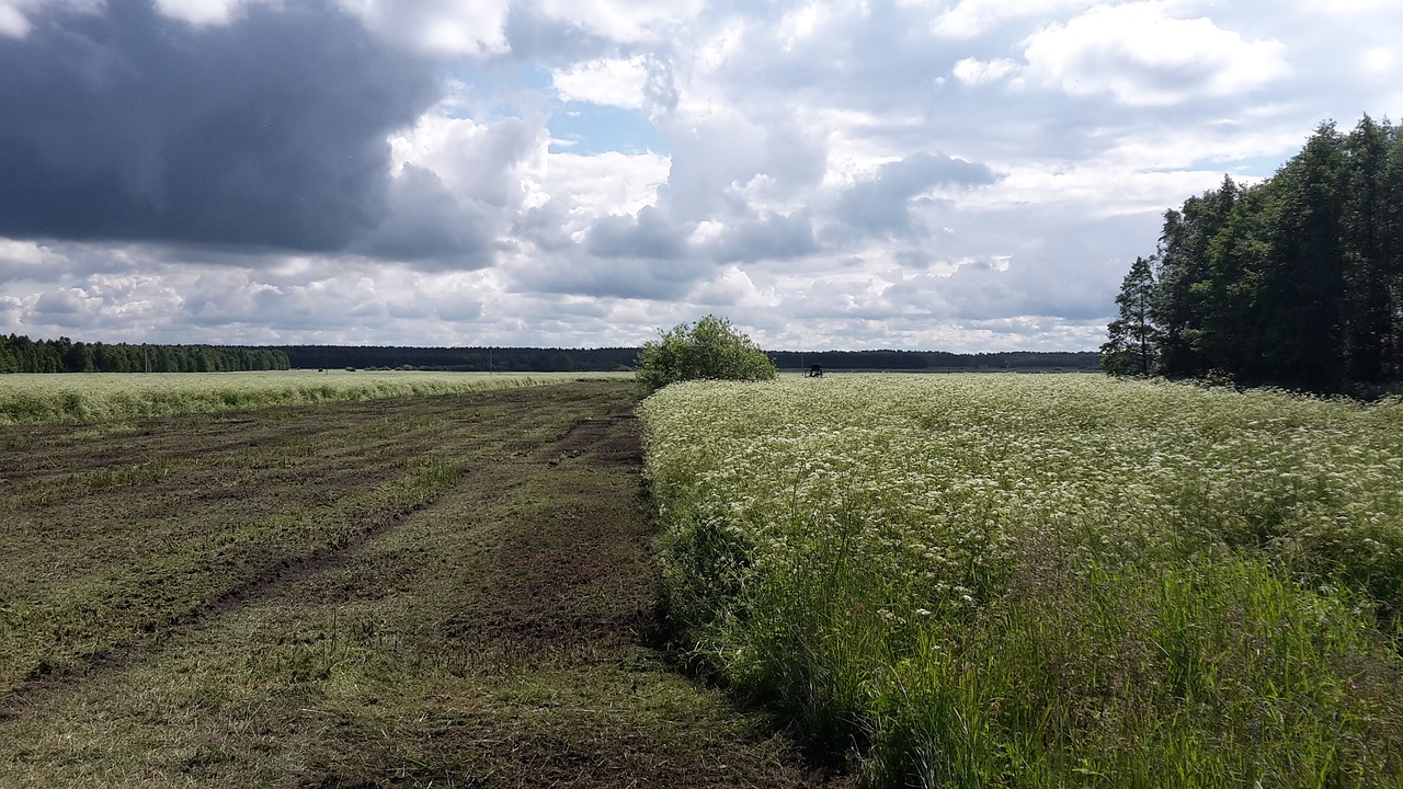 Cómo afecta el clima extremo a los agricultores y la fauna de Lituania