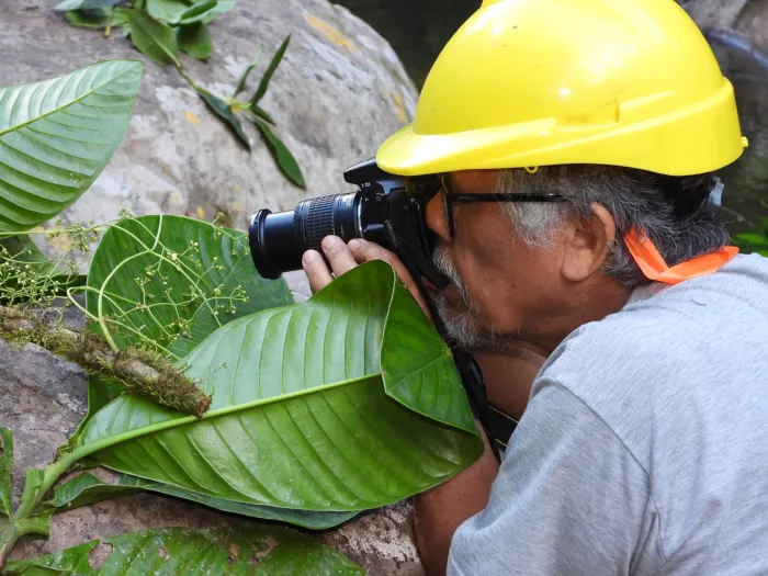 Descubren dos nuevas especies de plantas endémicas en Perú