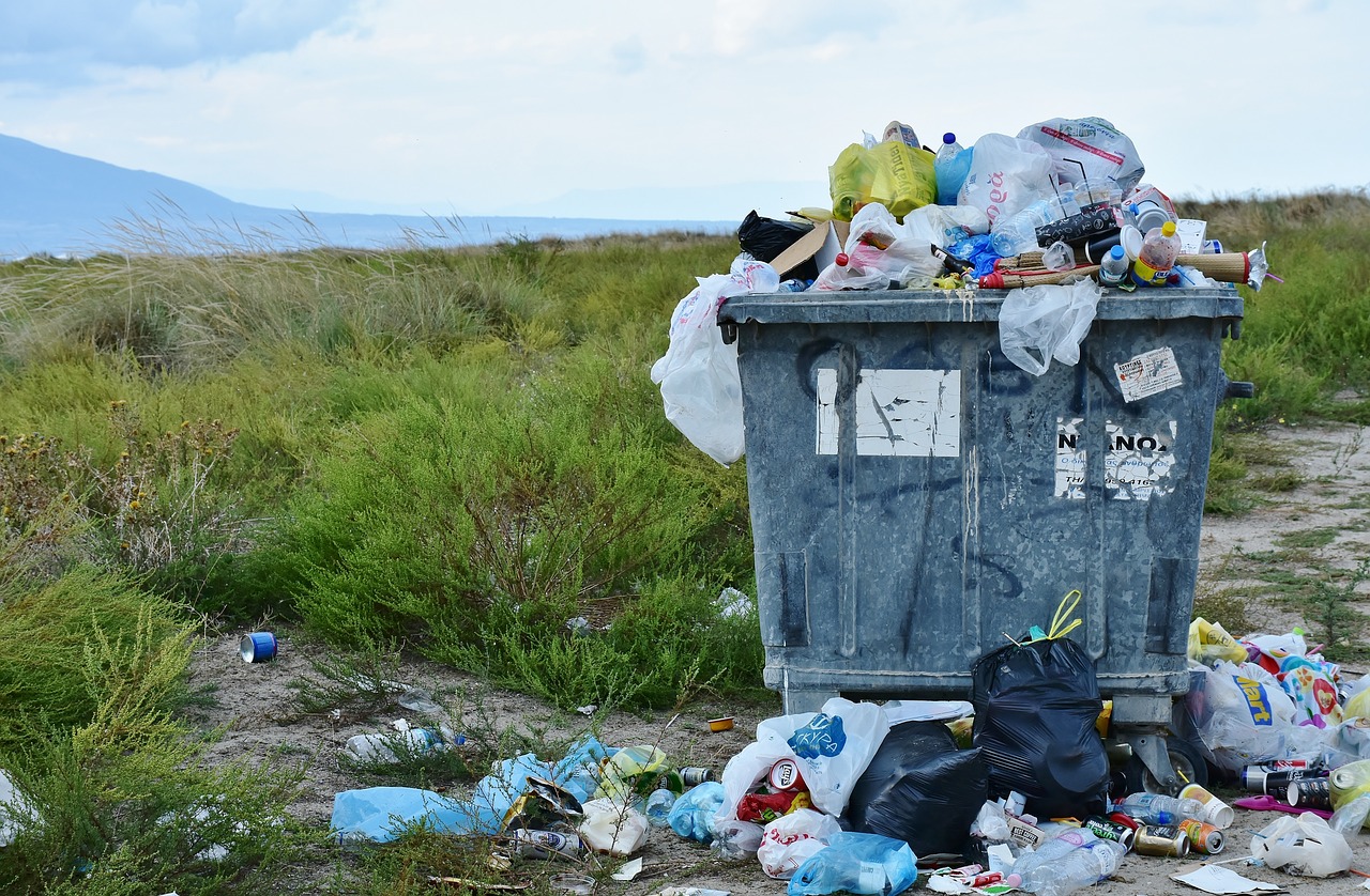 Día Internacional del Exceso de Plástico: ¿Qué países reciclan mejor este material?