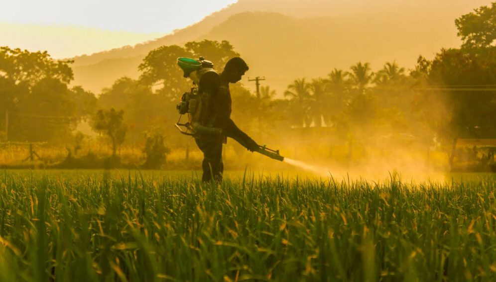 México continua usando plaguicida que se prohíbe en la región