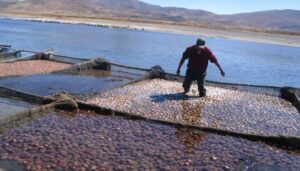 saberes-ancestrales-1-996×567