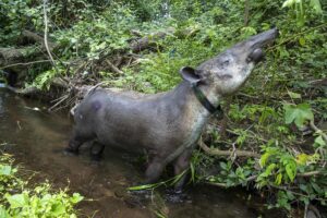 2b0dffbbf9358acfe1672b3114b42edae6a5eb8eminiw