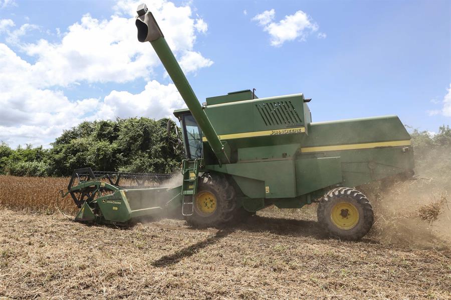 La expansión de la soja para alimentar al ganado arrasa los bosques de Bolivia