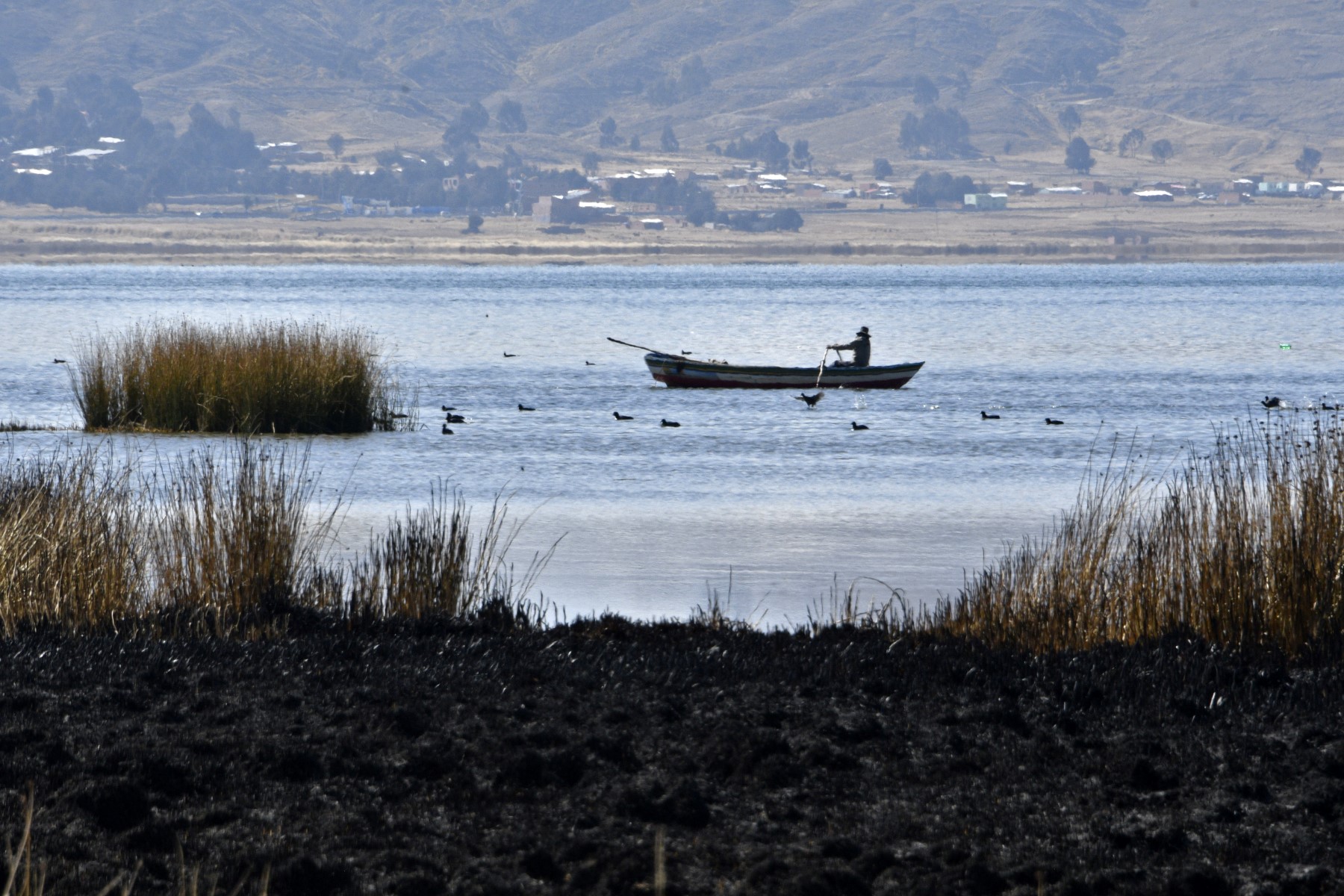 Aguas del lago Titicaca descienden a niveles históricos por cambio climático