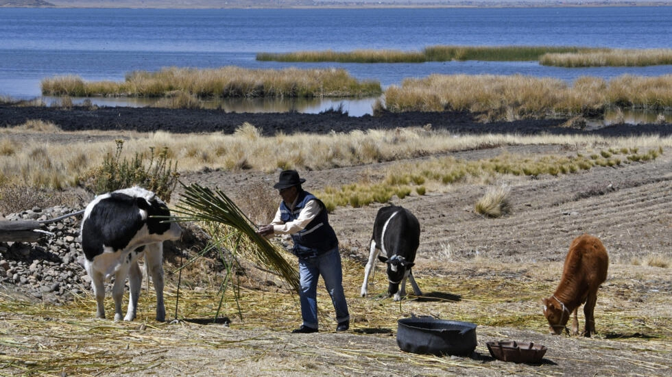 Cambio climático podría aumentar número de muertes relacionadas con conflictos, afirma el FMI