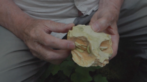 580-2-CIENCIA_Grabados neandertal_Captura de pantalla _ AFP