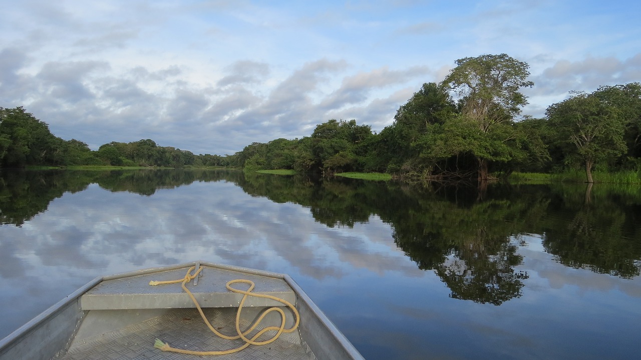 En 2023, la deforestación en la Amazonía brasileña cayó un 33,6 %