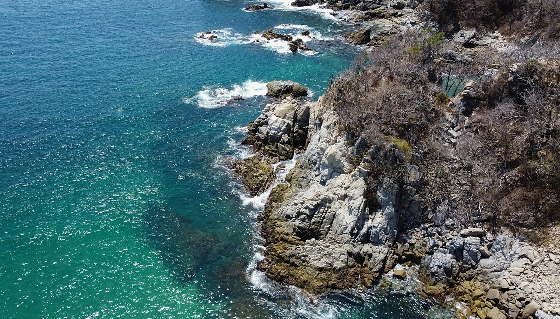 México anuncia 13 nuevas Áreas Naturales Protegidas en 6 estados