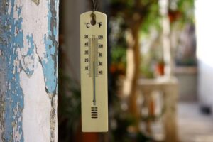 WhatsApp Image 2023-08-21 at 15.42.02