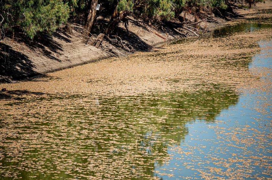 Australia ha vivido su invierno más caluroso desde 1910