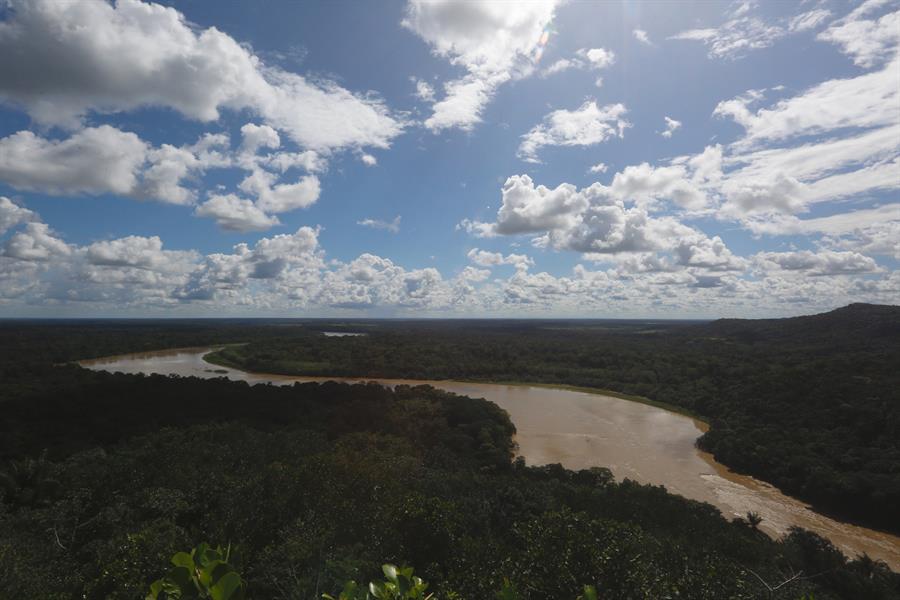 Los incendios en la Amazonía brasileña caen un 48 % en agosto