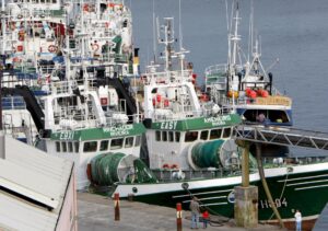 Greenpeace advierte del avance de la sobrepesca e insta a ratificar el Tratado de Alta Mar