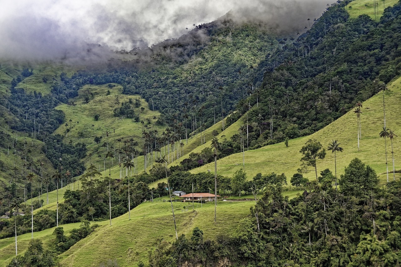 Colombia regula los pasivos ambientales para proteger y reparar su medioambiente