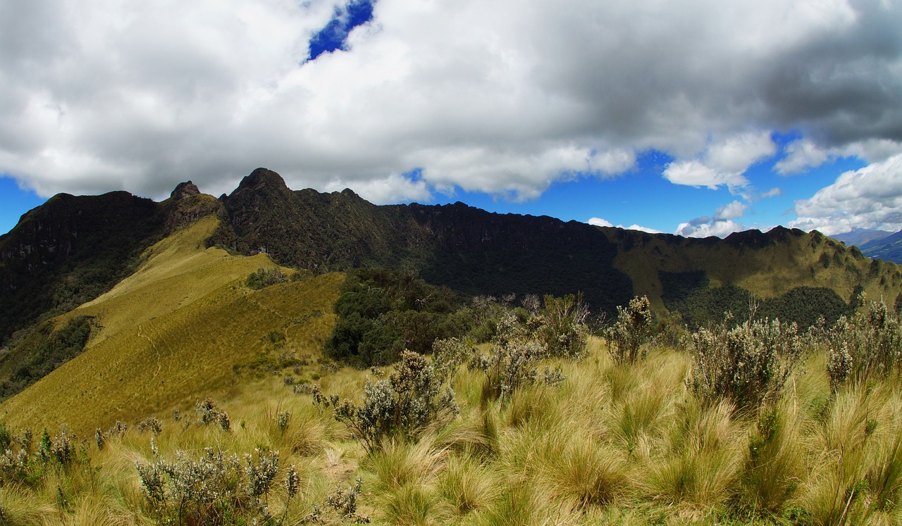 Ecuador incorpora cerca de 25.000 hectáreas de páramo andino a sus zonas protegidas