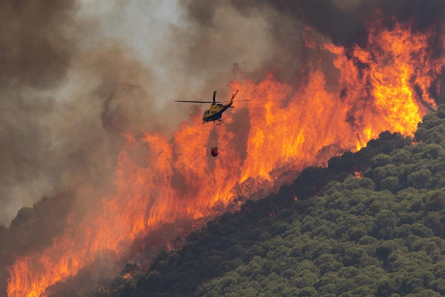 La contaminación por fuegos forestales se vincula al riesgo de suicidio en zonas rurales