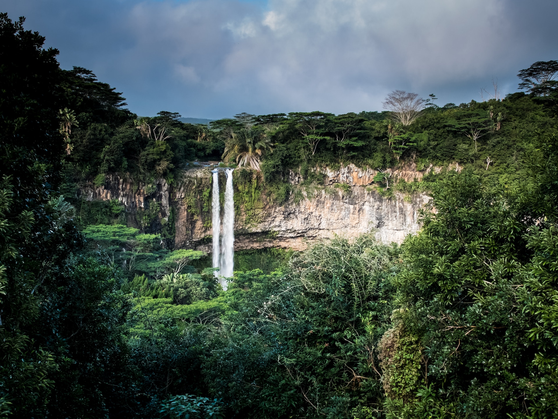 Compensaciones de carbono: insuficientes en bosques tropicales