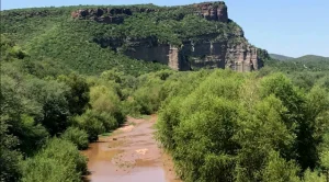 rio-sonora-contaminacion