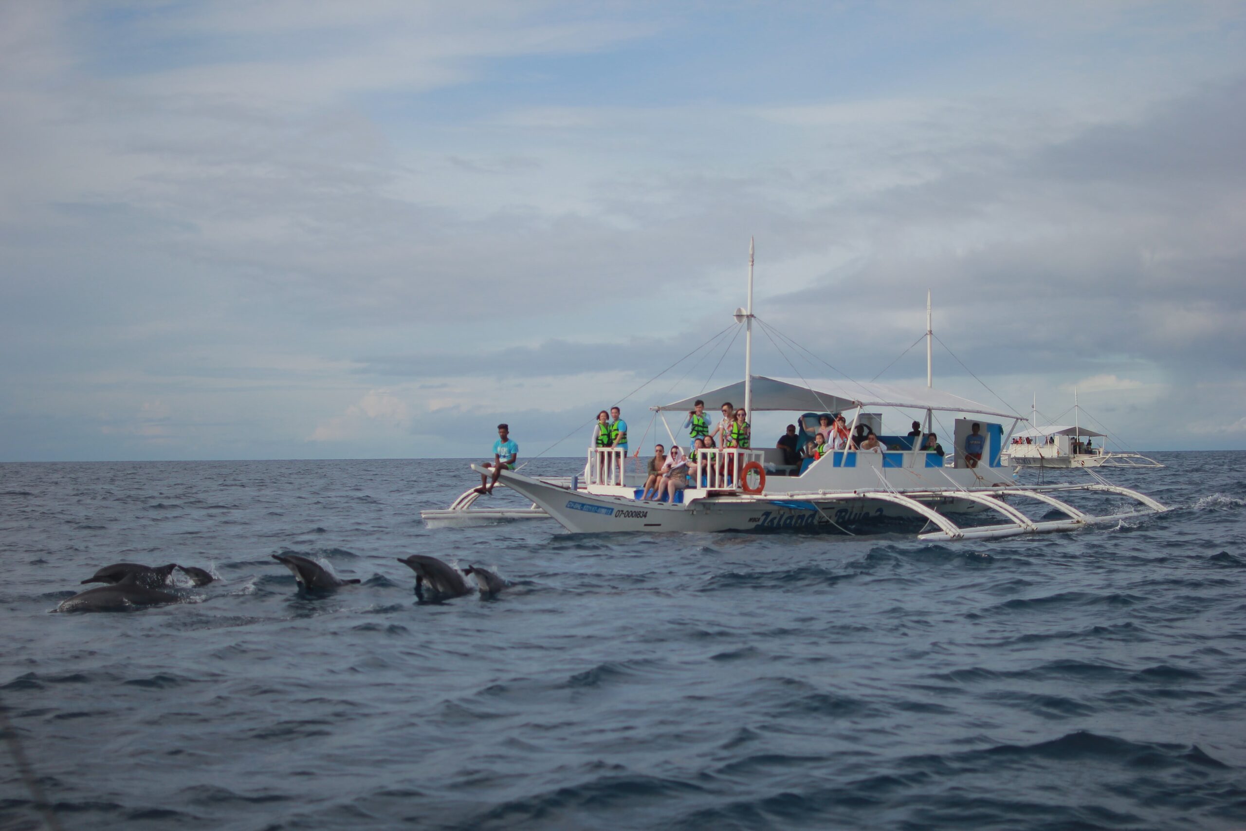 La inteligencia artificial se alía con ballenas y delfines para protegerlos de los barcos