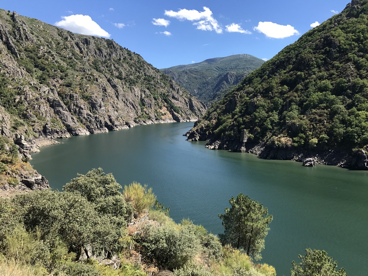 Alertan contaminación de aguas con el  herbicicda glifosato en la UE