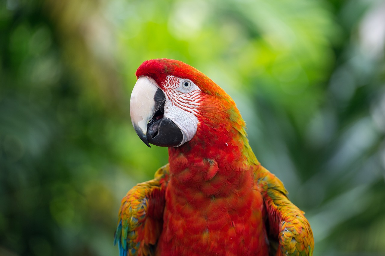 El principal refugio de fauna silvestre de Latinoamérica, cumple dos años