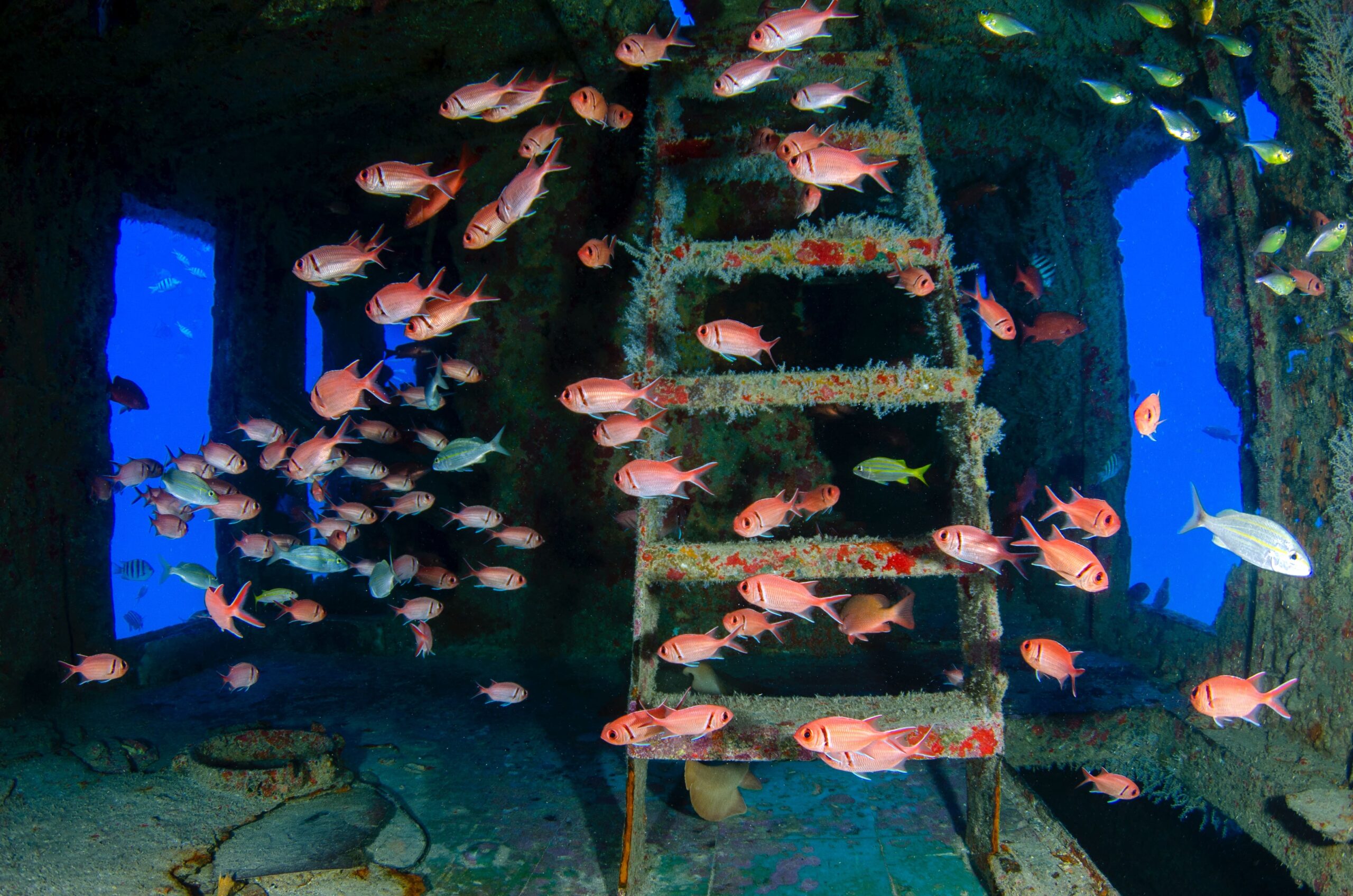 Realidad virtual para conocer los tesoros arqueológicos del océano