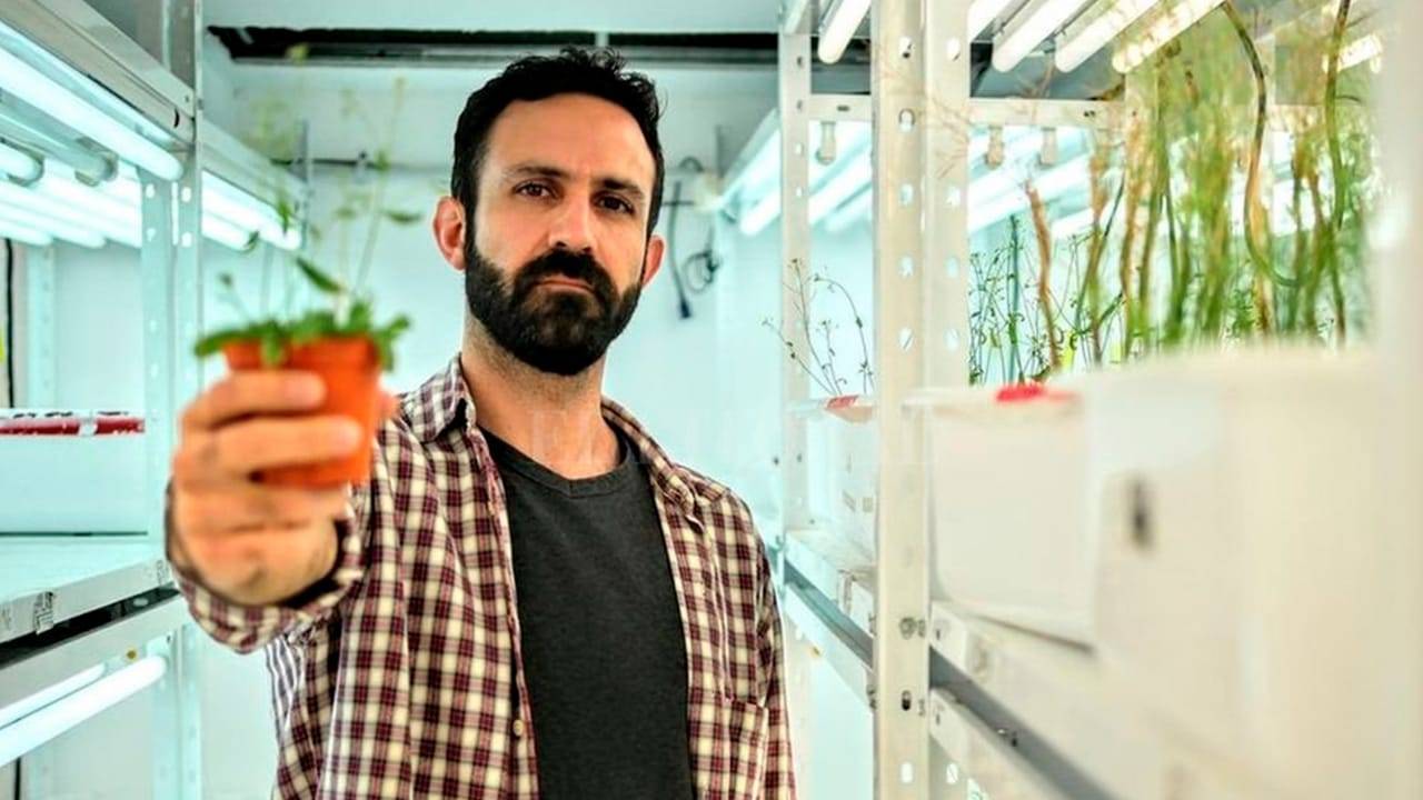 Gracias a la pandemia, el ARN se instaló en el centro de biotecnología agrícola