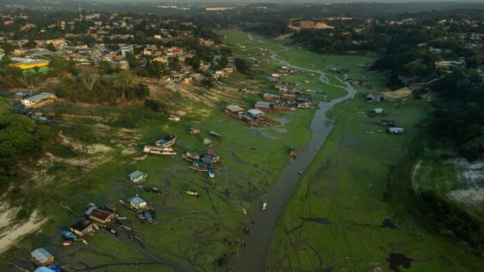 Ecuador reforesta 4.000 hectáreas de bosques nativos de la Amazonía