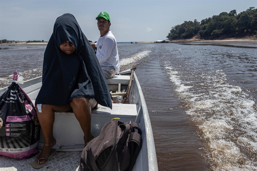 La sequía pone en riesgo el pan de las comunidades rurales de la Amazonía brasileña