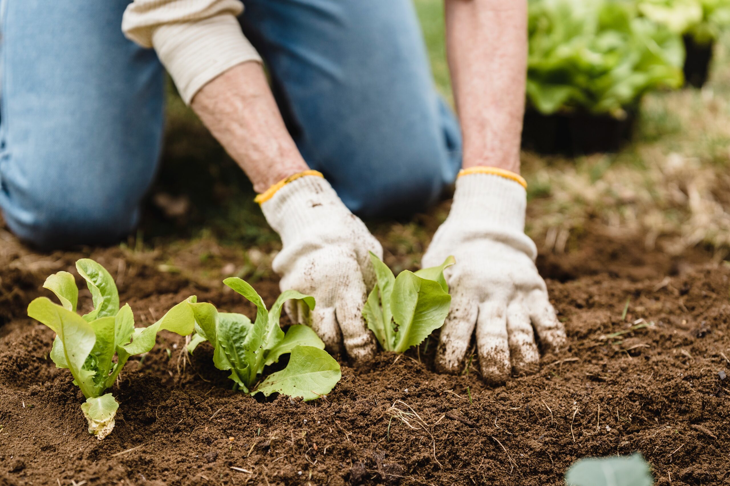 Expertos destacan papel de la agricultura regenerativa para afrontar la crisis climática