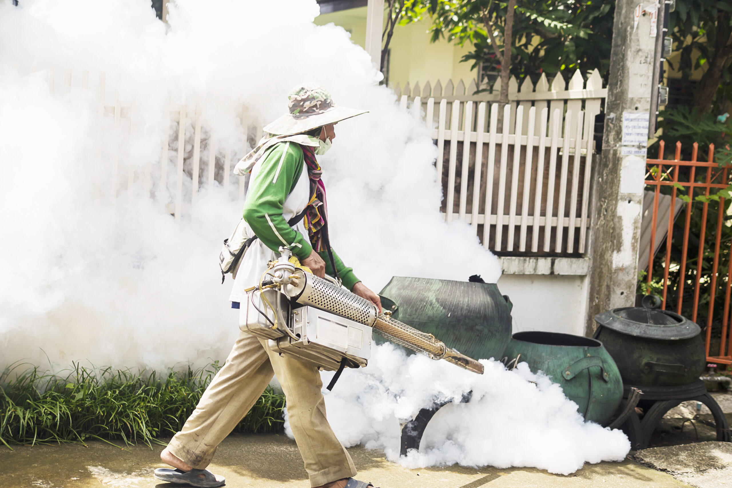 En México, los casos de dengue se quintuplicaron